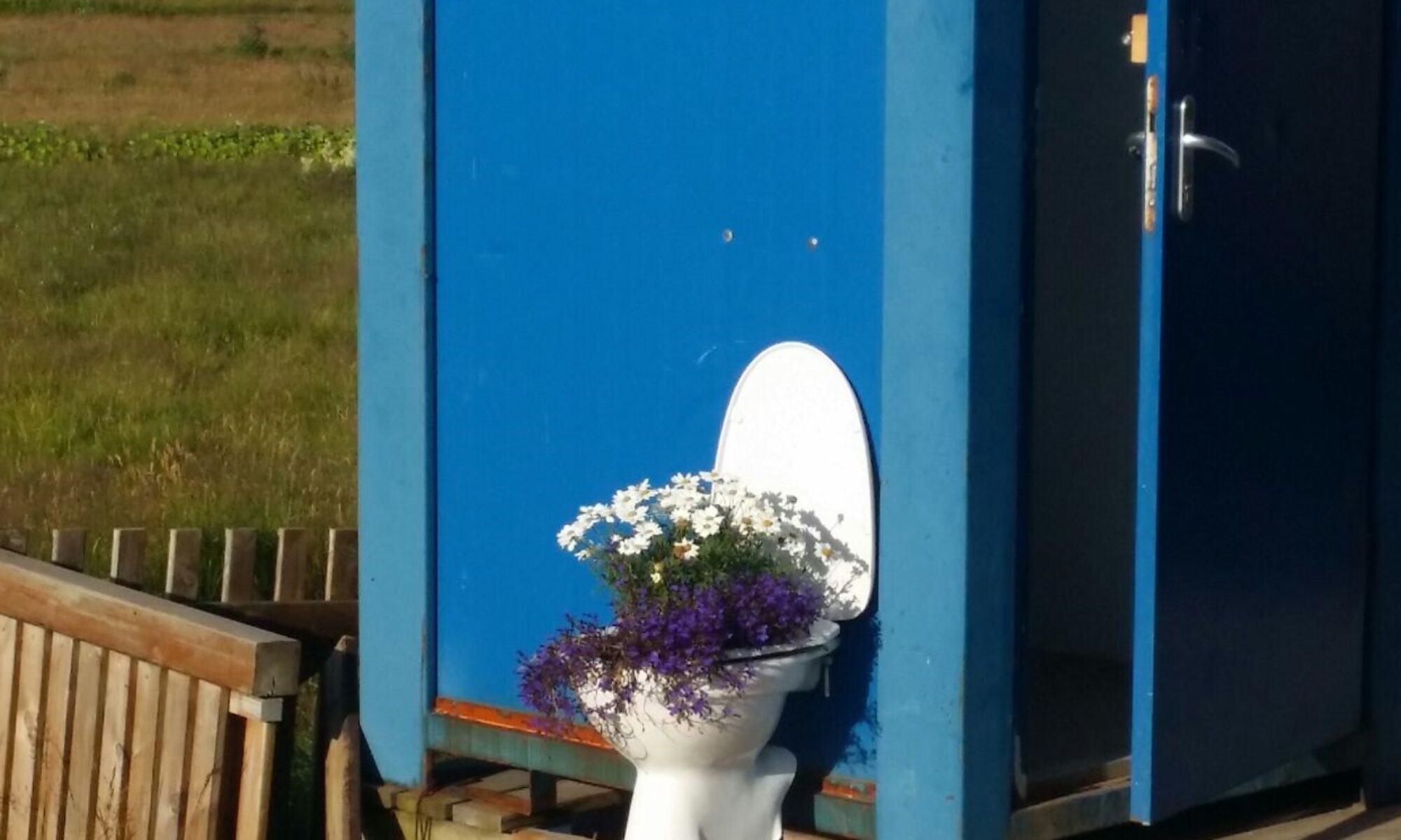Educational Guerrilla Art